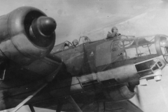 He115_9