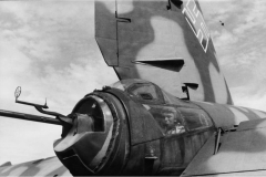 He_177_tail_gunner