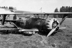 Hs123B_BM_LG2
