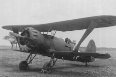 Hs123_SZ