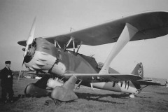 Hs_123_V11_WNr_820_37-38