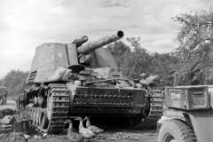 Early_Hummel