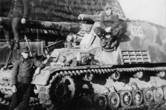 Hummel_504