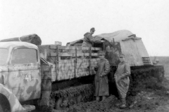 Hummel_maultier