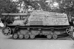 Hummel_moskva