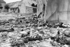 Dog_with_KIA_Germans_Fort_Du_Roule_Normandy