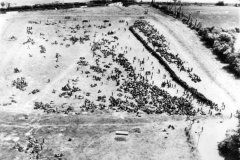 German_Prisoners_from_Cherbourg_1944