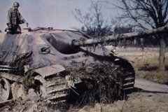 Jagdpanther_color_photo