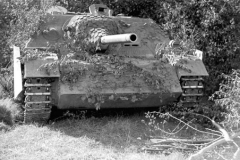 Jagdpanzer_IV_6division_poland44