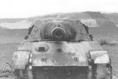 Jagdtiger_20