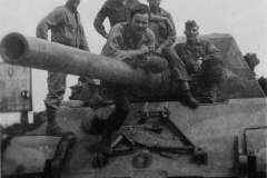 Jagdtiger_323_653