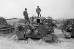 Jagdtiger_sPzJgAbt_512