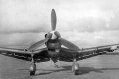 German_dive_bomber_Junkers_Ju87D-3_front_view