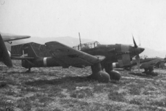 Ju87_Picchiatello