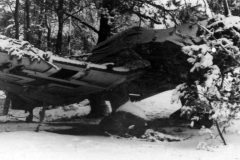Ju87_camouflaged_in_winter