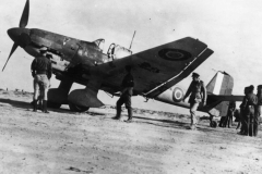 Ju_87D_213_Sqn_RAF_North_Africa
