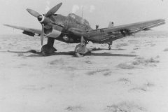 Ju_87_B_StG_1_Afrika_1941_1942