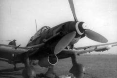 Ju_87_D-3_2NSGr_2_Koln-Ostheim_mar45