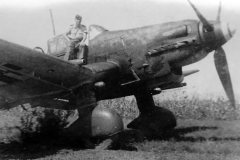 Junkers_Ju87_D