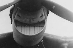 Junkers_Ju_87B_front_view