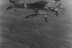 Junkers_Ju_87_D-3_in_flight