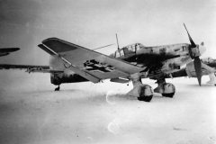 Junkers_Ju_87_D-3_of_III-StG_1_Eastern_Front_1942-43