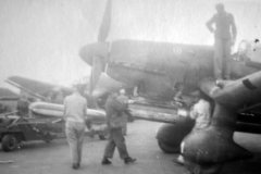 Junkers_Ju_87_D-4__with__torpedo
