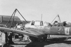 Junkers_Ju_87_D_maintenance