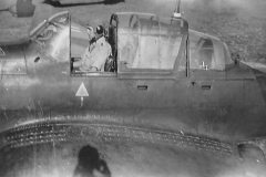 Junkers_Ju_87_D_of_3-NSGr_3_August_1944