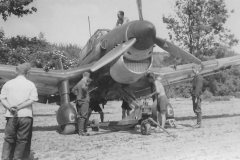 Junkers_Ju_87_front_view