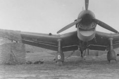 Junkers_Ju_87_front_view_2