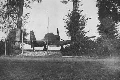 camouflaged_Junkers_Ju_87