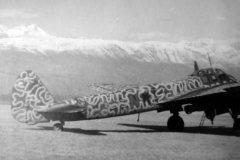Ju88_camouflage
