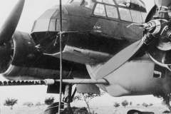 Ju_88P-4