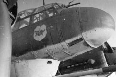 Junkers_Ju_88_P