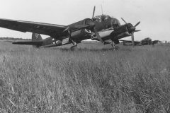 Junkers_Ju_88_and_Fw189