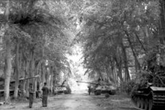 King_tiger_tanks_3