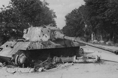 Konigstiger_195