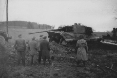 Konigstiger_2