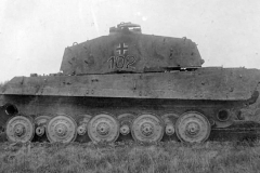 Konigstiger_501_102