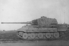 Konigstiger_501_502