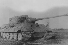 Konigstiger_502