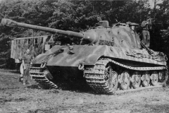 Konigstiger_s503