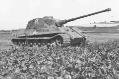 Konigstiger_ss101_104