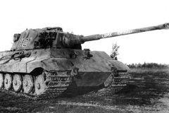 Konigstiger_stashuv_502