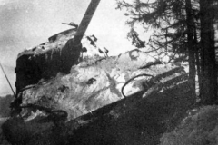 Tiger_2_3
