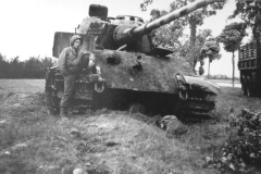 Tiger_2_5