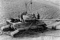 Tiger_2_501_jun44
