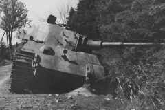 Tiger_2_6