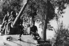 Tiger_2_7